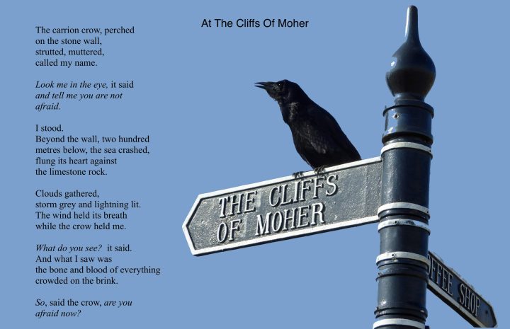 Beth Brooke