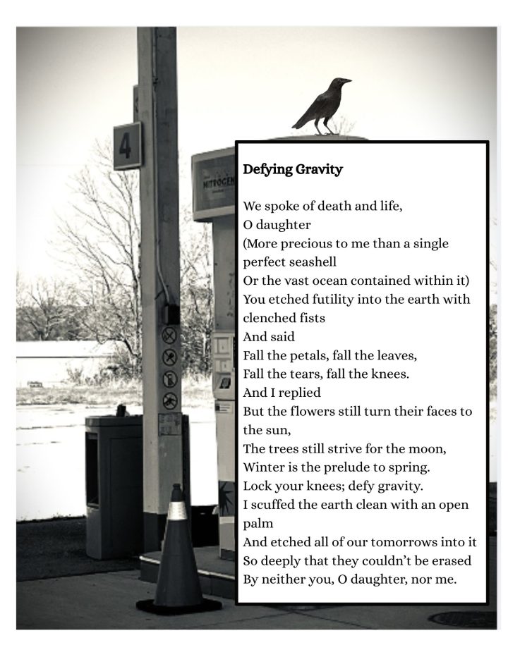 poem by Suzanne Craig whytock