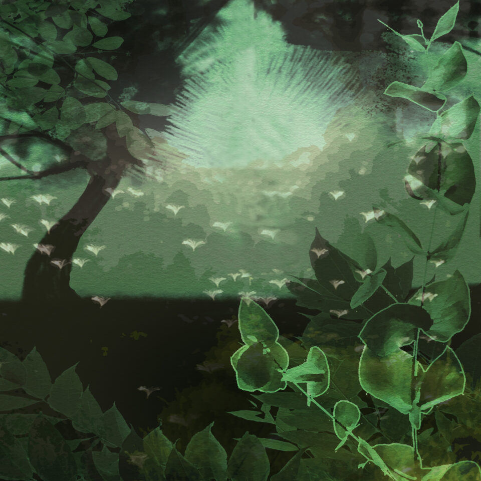 Thousand shades of green