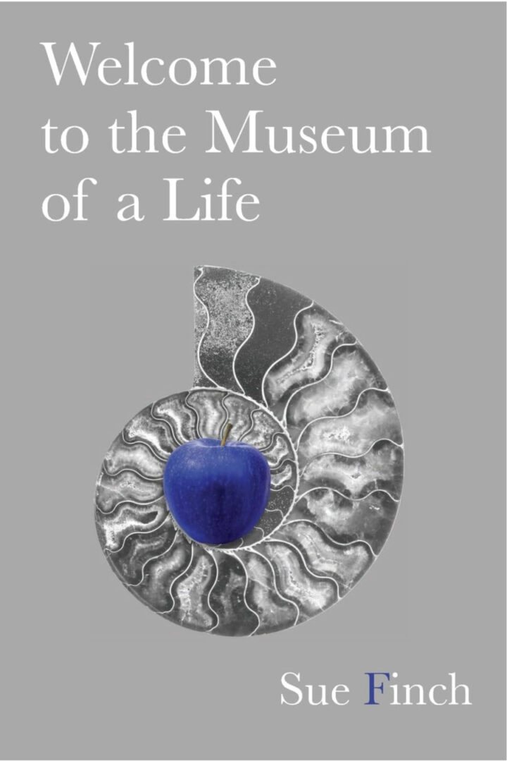 welcome to the museum of a life